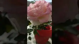 ya Allah me us waqt ke liye#Ameen#islamik video#majida#short#video#youtubr