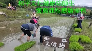 台東縣和平文化健康站師生懷舊課程體驗插秧
