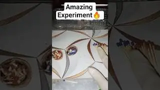 Two Color Matchsticks 🔴🟦🔥| Amazing Short Video