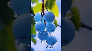 Usman Rajput Islamic video chat Now #foryou #shortvideo #video