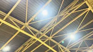 Hangar Rat Free Flight Rubber Powered