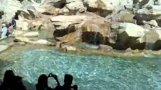 la lempio e la svacanto la fontana di trevi