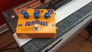 Frantone Peachfuzz + Supro Black Magick Freestyle Jam