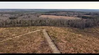 NCLandHomeFarm.com I North Carolina Timber Investment 101 I Plank Road Forestry