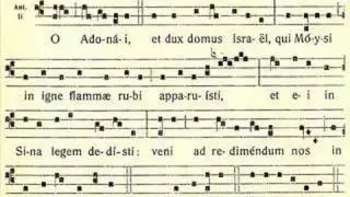 O Adonai