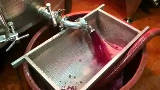 Svinatura Valpolicella 2014