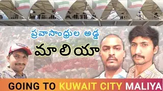 గల్ఫ్ జీవితం🥹 || KUWAIT CITY MALIYA