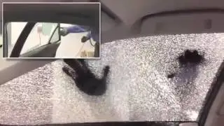 3M Automotive Security Film in Denver