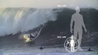 Scientific Breakdown of JOB's Wedge Board Transfer