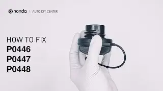 2 Solutions to Fix P0446, P0447, and P0448
