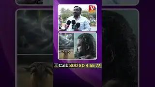 Yellamma Glimpse First Talk | Audience Review | Tollywood Updates | Vtv News
