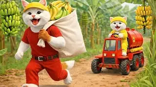 🍌 Baby Cat Kidnapped in Banana Farm 😱 | Police Cat Hero Rescue | Cartoon Story