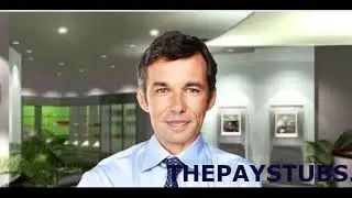 Free Online Pay Stub Generator (ThePayStubs.co)