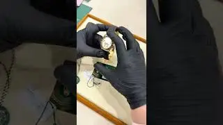 劳力士126518余文欢  大金劳的快乐你不懂#watch #rolex #胖哥爱玩表