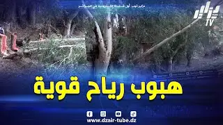 شاهد .. حالة استنفار بحجوط 🌪️ تحرك جماعي تحسبا لهبوب رياح قوية