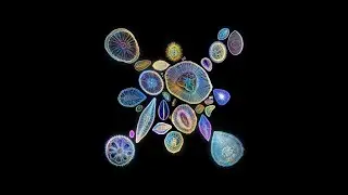 Bio Open Lab: Ignition Sales