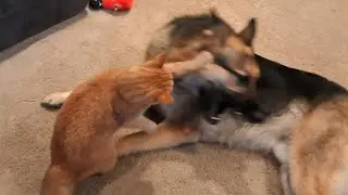 Micro aggression