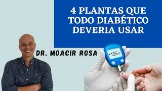 4 Plantas Que Todo Diabético Deveria Usar || Dr. Moacir Rosa