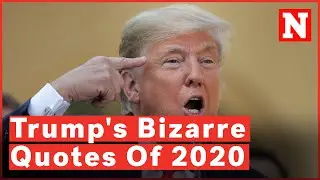 Странные цитаты Дональда Трампа 2020 года