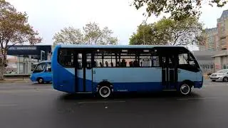 TMV - Buses in Av.Libertad