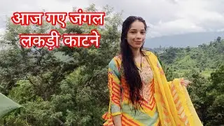 7 vlog aaj gye jungale lakdi katne #kumauniculture #neetubisht #pahadi #phadilifestyle 