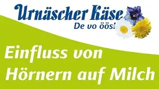 Einfluss von H&ouml;rnern auf Milch