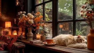 Rainy Day in Cozy Window Ambience | Smooth Jazz Music and Rain Sounds for Work, Study & Relax