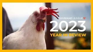 2023: Year in Review