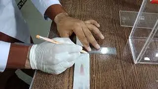 Separate given mixture of inks by paper chromatography.