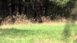 Fish TV - Lake Ontario Trout