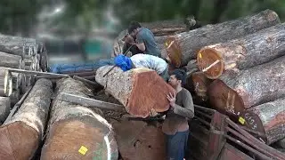 Manually Unloading Log
