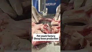 Pet snacks production factory in China. Pet food import and export, ODM/OEM