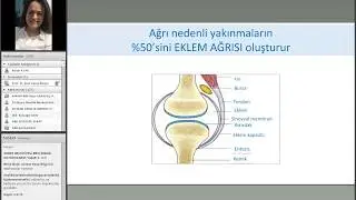 HİK - Sağlık Platformu Webinarlar Serisi 10. Webinar: Sık Görülen Kas ve İskelet Sistemi Sorunları