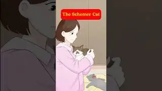 The Schemer Cat.
