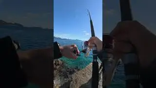 Shore jigging ile olağan&uuml;st&uuml; trofe Lambuka avı.