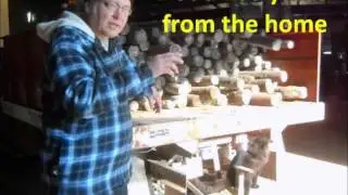 Cattle Mutilation Story