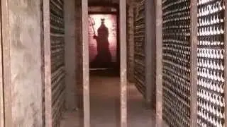 Just A Look Around Concha y Toro