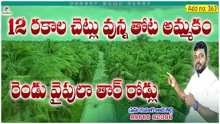 Add no: 363 కోకో కొబ్బరి తోట తక్కువ రేటుకే అమ్మకం @BudgetMamaGroup