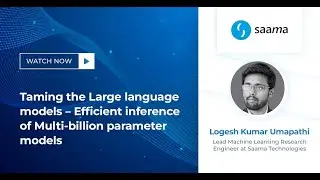 Taming the Large language models &ndash; Efficient inference of Multi-billion parameter models