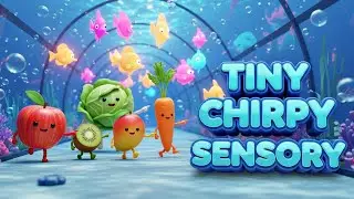 Sensorial para Beb&ecirc;s com Alto Contraste e Est&iacute;mulos Visuais - V&iacute;deo Calmante para Beb&ecirc;s