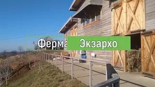 Ферма Экзархо Сочи