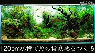 【IAPLC2024入選作品】120cm水槽で魚の棲息地をつくる。【アクアリウム】