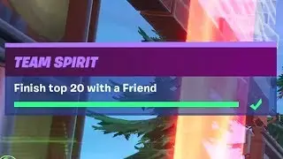 Finish Top 20 with a Friend (3) - Fortnite Prestige Team Spirit