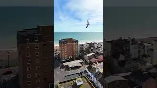 Prospect Place, Worthing.