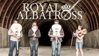 Royal Albatross - 
