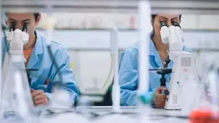 'Put science at the centre': Calls for more funding for science and technology