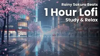 Rainy Sakura Lofi Beats – 1 Hour Study Mix for Deep Focus