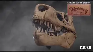 BONE WARS ⛏🦴🧨💥🦕 Exploring the great scientific Marsh-Cope feud on the anniversary of O