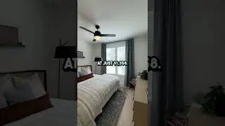 Cozy & Modern 1-Bedroom in Georgetown, TX | Caroline Georgetown A1 Floorplan Tour