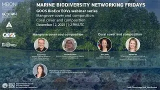 Marine Biodiversity Networking Friday on Mangrove cover and composition